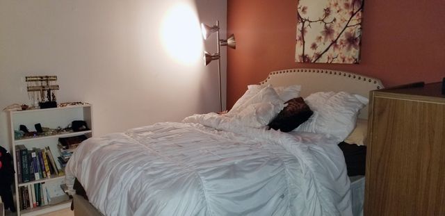 1550 S Indiana Avenue 405, Chicago, IL 60605