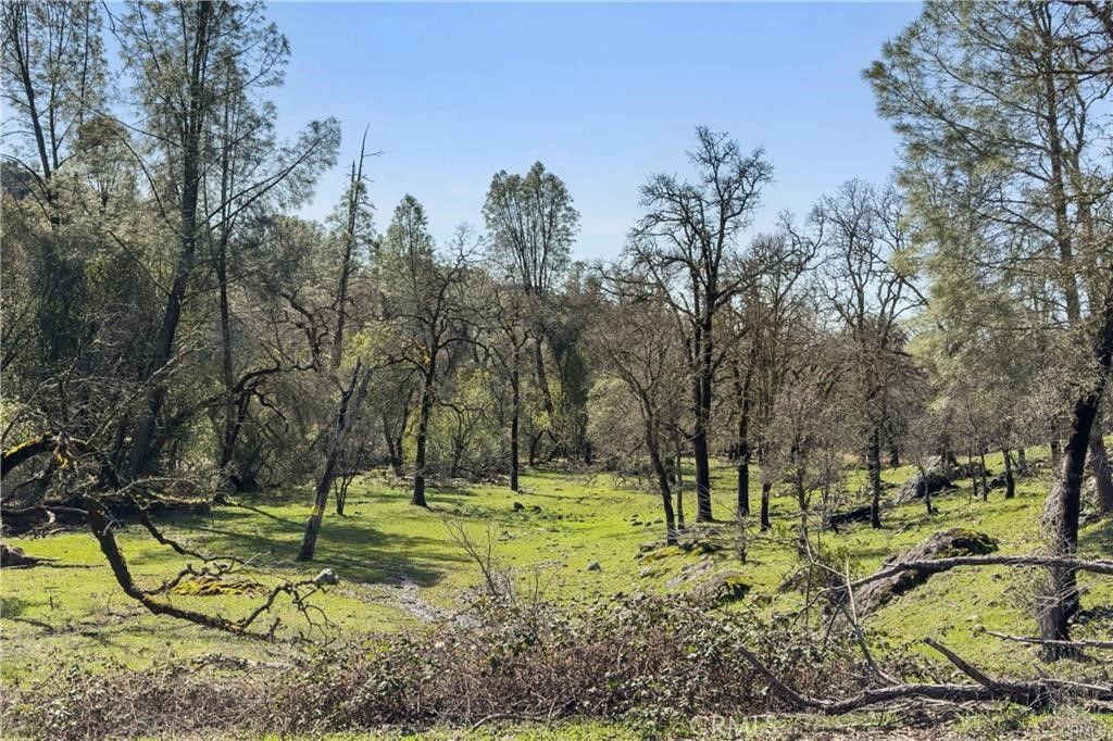 Image 13 of property listing at 1 Sky Court, Forest Ranch, CA 95942