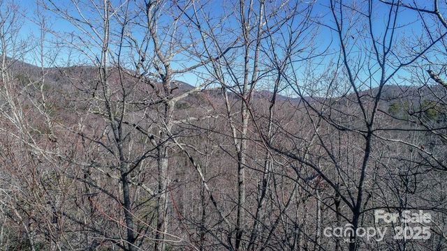 82 Davey Crockett Road, Fairview, NC 28730