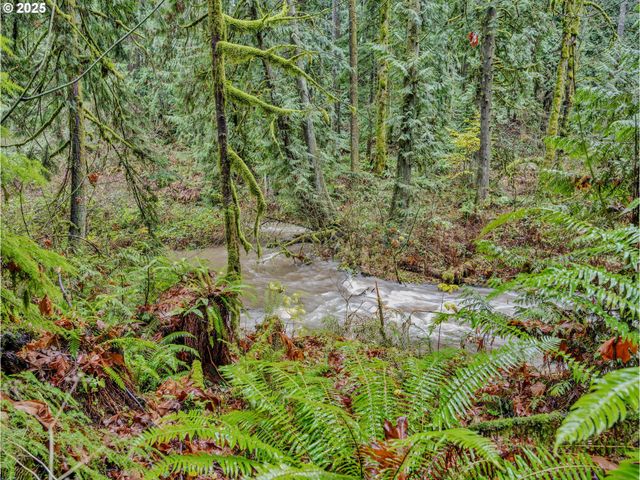 35570 Se BARNUM Rd, Sandy, OR 97055