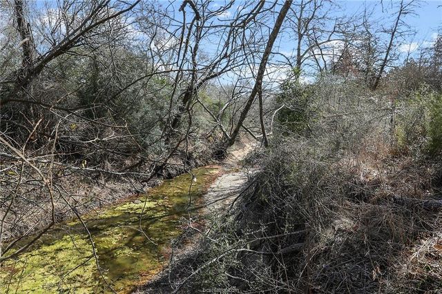 3190 Fm 1361, Somerville, TX 77879