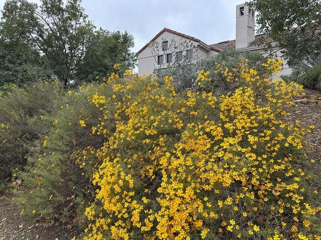 8255 Rancho Real, Gilroy, CA 95020