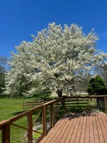 48 S Sashabaw Road, Ortonville, MI 48462