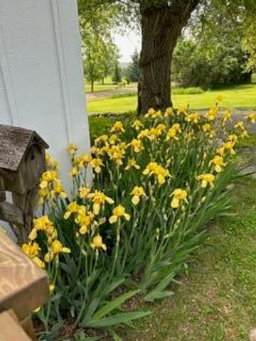 48 S Sashabaw Road, Ortonville, MI 48462
