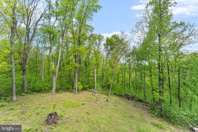 293 OLD SAWMILL RD, Front Royal, VA 22630