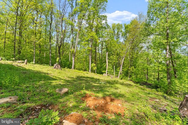 293 OLD SAWMILL RD, Front Royal, VA 22630