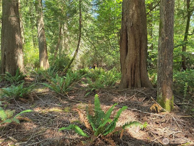 133 E Barnacle Boulevard, Shelton, WA 98584