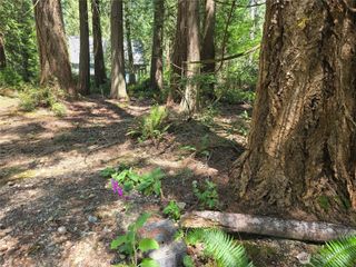133 E Barnacle Boulevard, Shelton, WA 98584