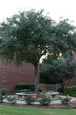 305 Holleman Drive E 1504, College Station, TX 77840