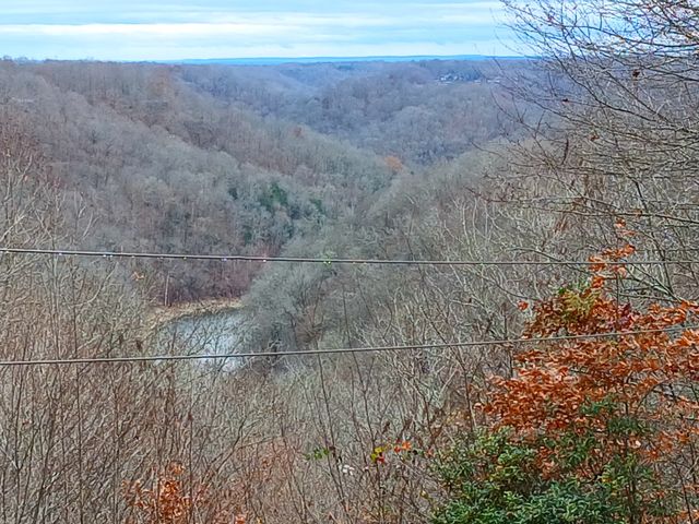 653 Ponder Ln, Smithville, TN 37166