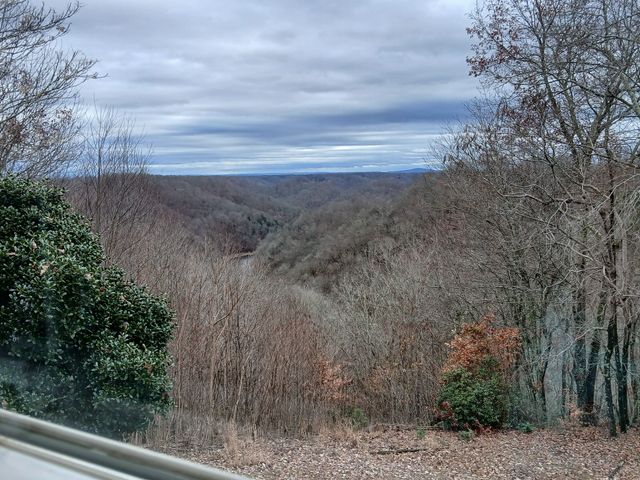 653 Ponder Ln, Smithville, TN 37166