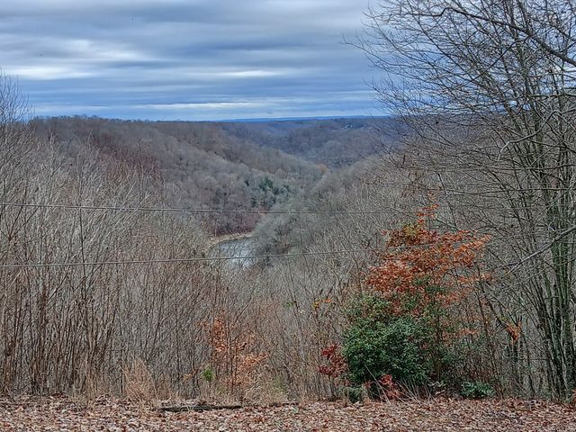 653 Ponder Ln, Smithville, TN 37166