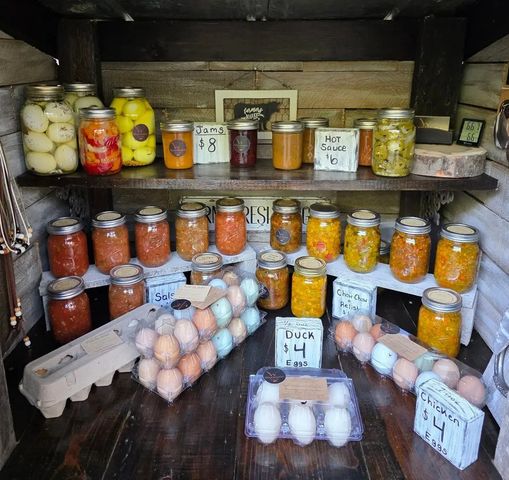 653 Ponder Ln, Smithville, TN 37166