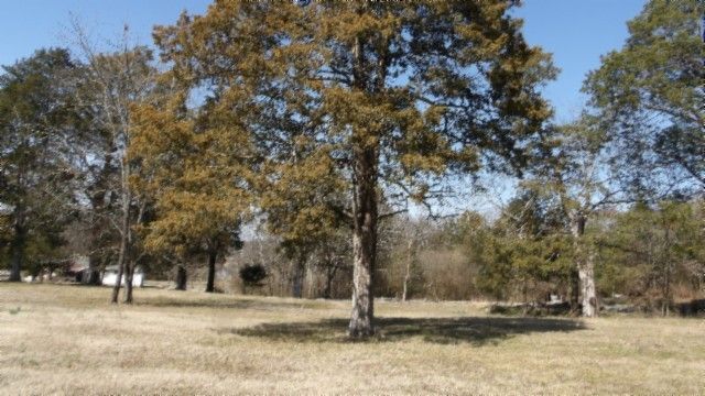 1586 Needmore Rd, Old Hickory, TN 37138