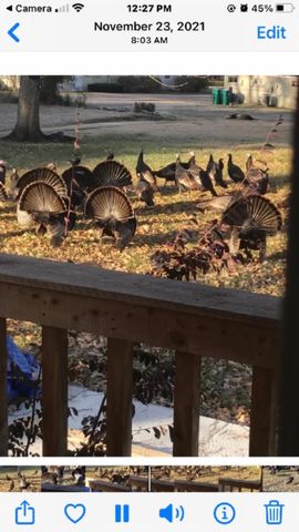 1586 Needmore Rd, Old Hickory, TN 37138