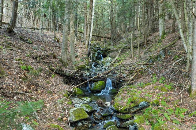 290 Wood Farm Road, Waterbury, VT 05677