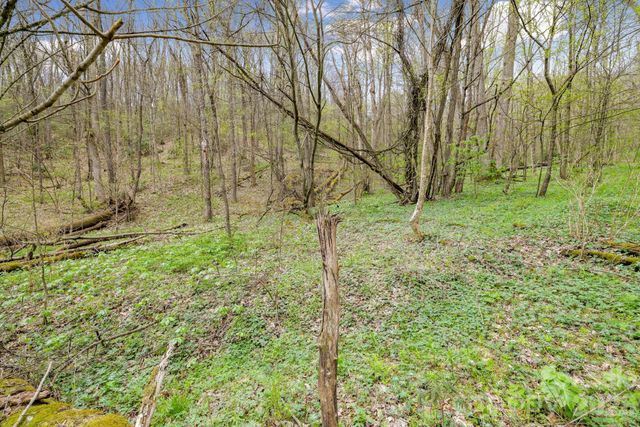 00 Bear Hollow Road 40, Waynesville, NC 28785