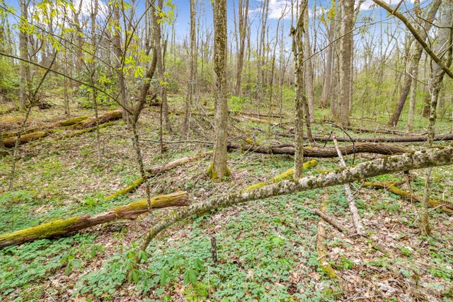 00 Bear Hollow Road 40, Waynesville, NC 28785