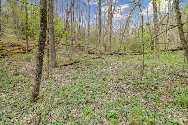00 Bear Hollow Road 40, Waynesville, NC 28785