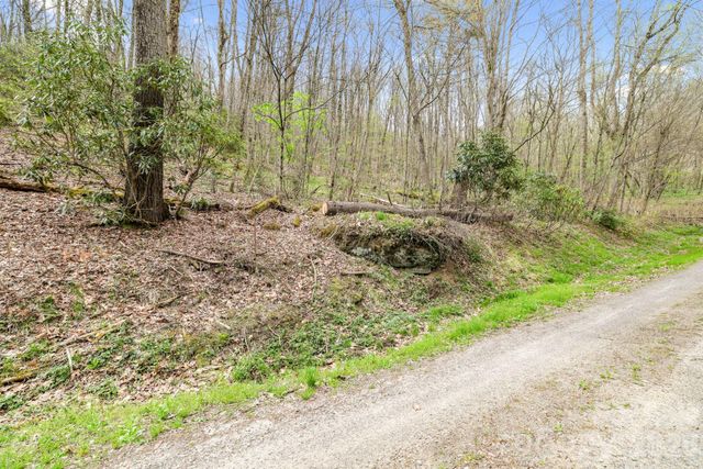 00 Bear Hollow Road 40, Waynesville, NC 28785