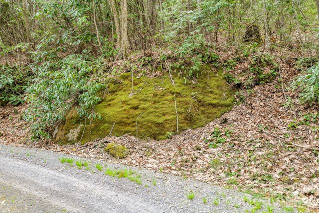 00 Bear Hollow Road 40, Waynesville, NC 28785