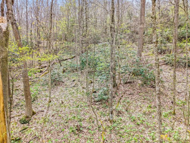 00 Bear Hollow Road 40, Waynesville, NC 28785