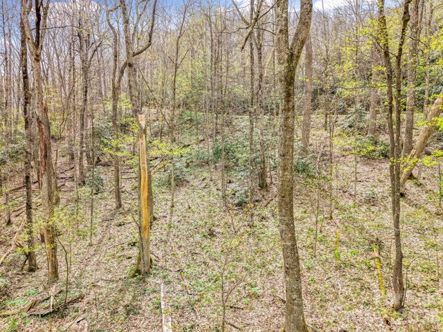 00 Bear Hollow Road 40, Waynesville, NC 28785