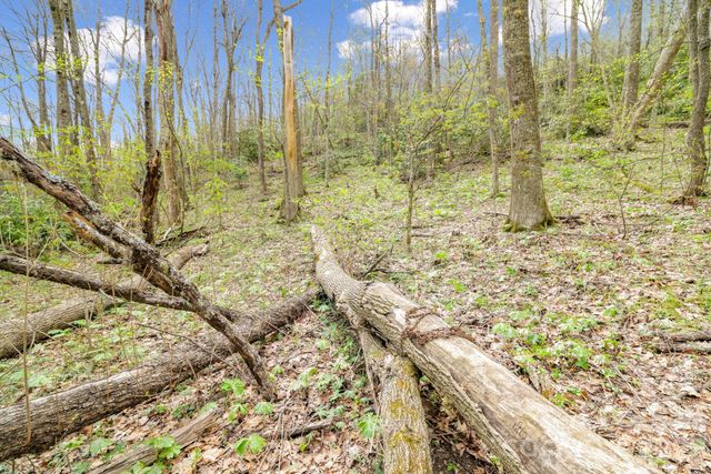 00 Bear Hollow Road 40, Waynesville, NC 28785