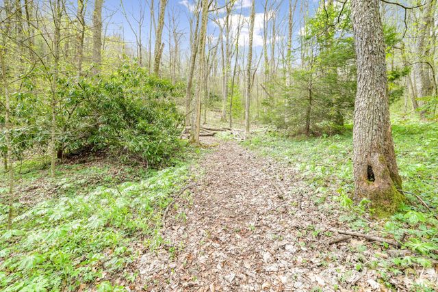 00 Bear Hollow Road 40, Waynesville, NC 28785