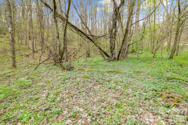 00 Bear Hollow Road 40, Waynesville, NC 28785
