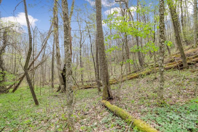 00 Bear Hollow Road 40, Waynesville, NC 28785