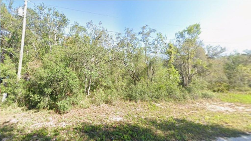 2180 W BONITA ROAD, Avon Park, FL 33825