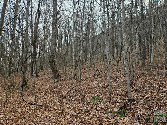 000 Slippery Rock Lane, Waynesville, NC 28785