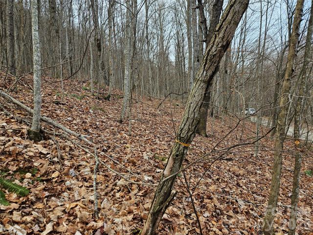 000 Slippery Rock Lane, Waynesville, NC 28785