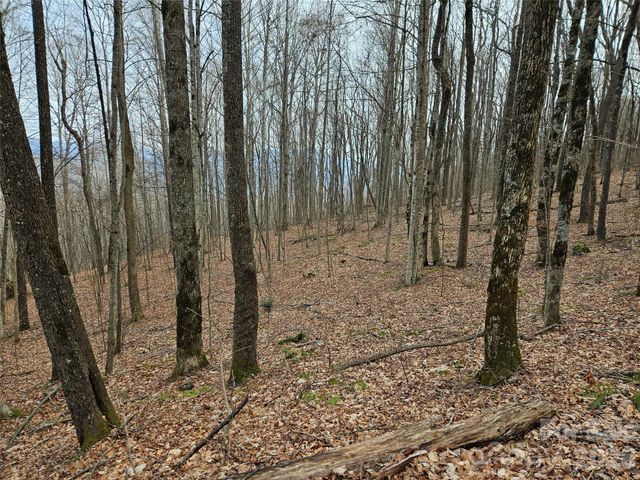 000 Slippery Rock Lane, Waynesville, NC 28785