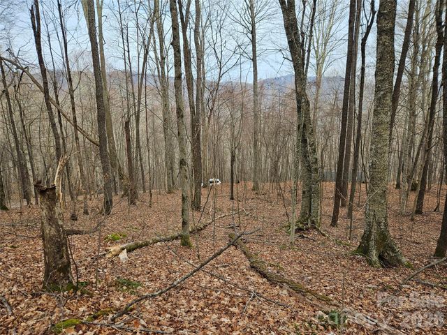 000 Slippery Rock Lane, Waynesville, NC 28785