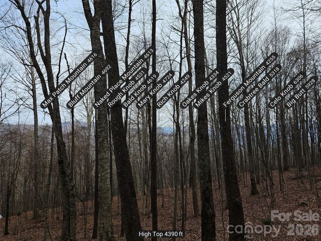 000 Slippery Rock Lane, Waynesville, NC 28785