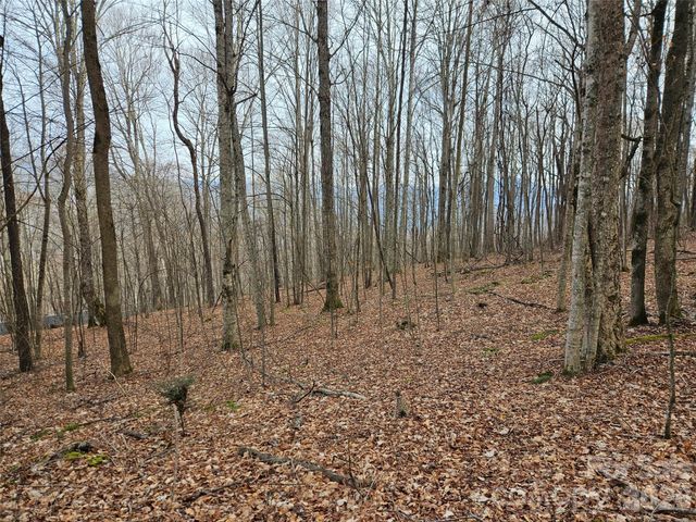 000 Slippery Rock Lane, Waynesville, NC 28785