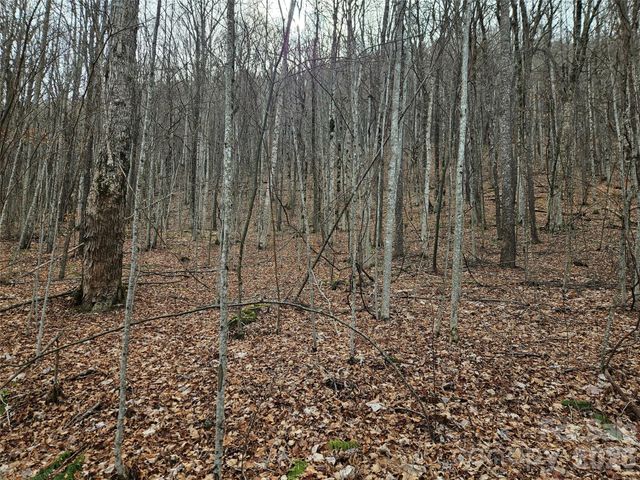 000 Slippery Rock Lane, Waynesville, NC 28785