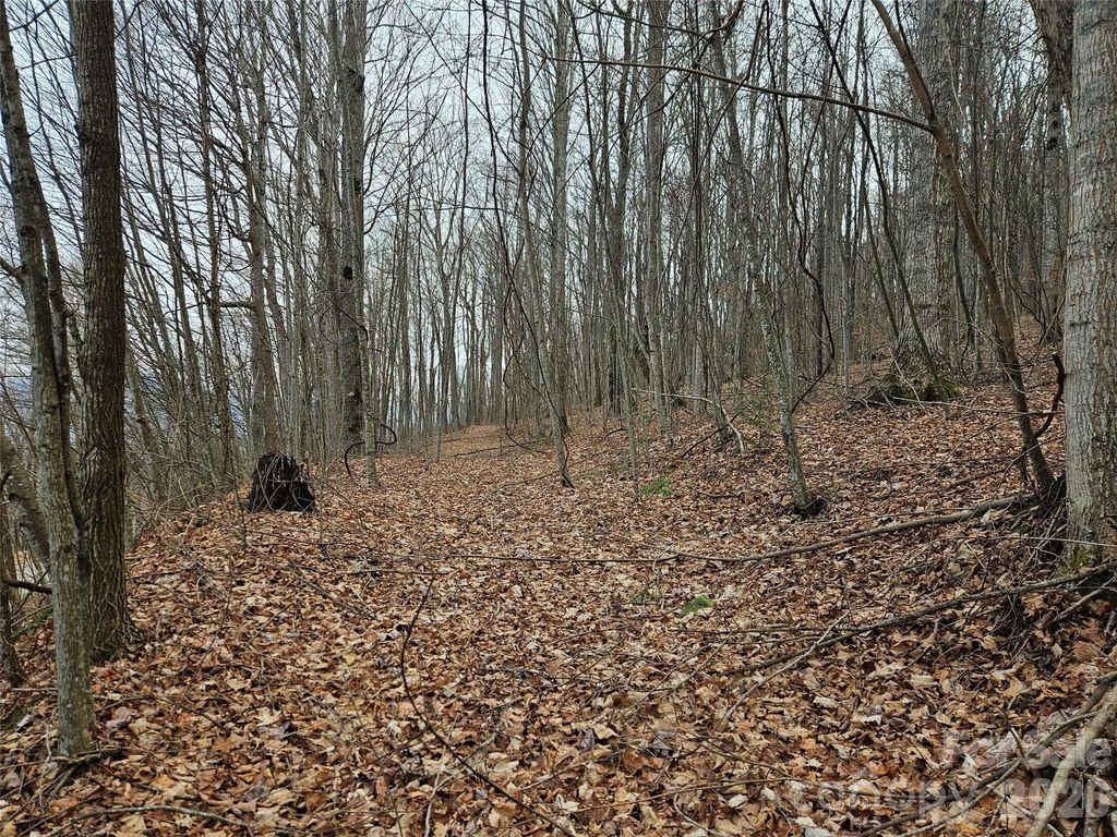 000 Slippery Rock Lane, Waynesville, NC 28785