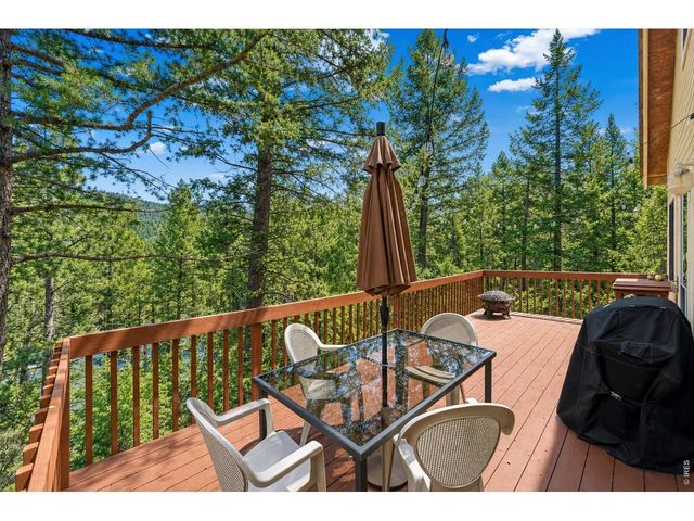 745 Hickory Dr, Lyons, CO 80540