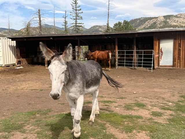 745 Hickory Dr, Lyons, CO 80540