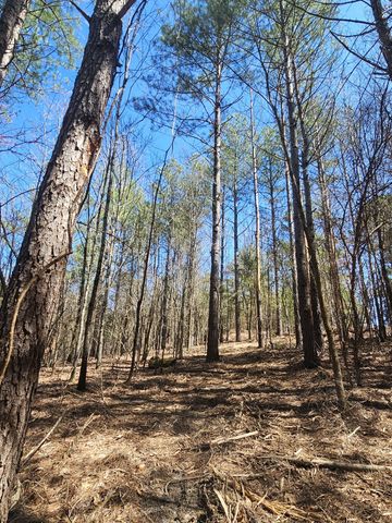 0 Bridge View Cv, Bath Springs, TN 38311