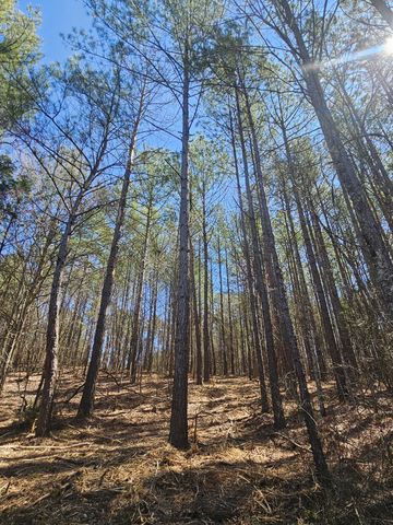 0 Bridge View Cv, Bath Springs, TN 38311