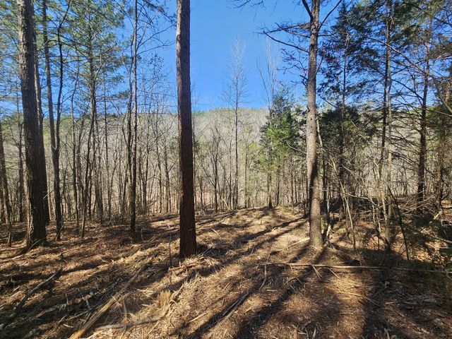 0 Bridge View Cv, Bath Springs, TN 38311