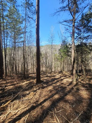 0 Bridge View Cv, Bath Springs, TN 38311