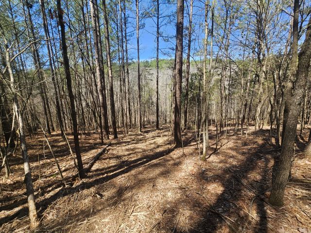 0 Bridge View Cv, Bath Springs, TN 38311