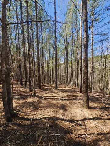 0 Bridge View Cv, Bath Springs, TN 38311