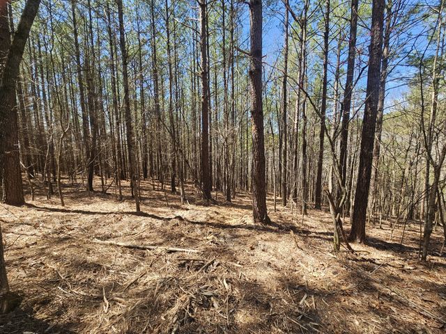 0 Bridge View Cv, Bath Springs, TN 38311