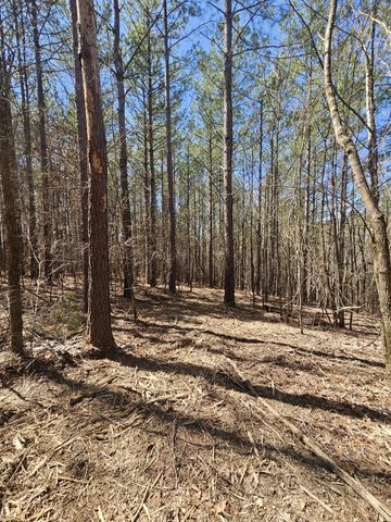 0 Bridge View Cv, Bath Springs, TN 38311